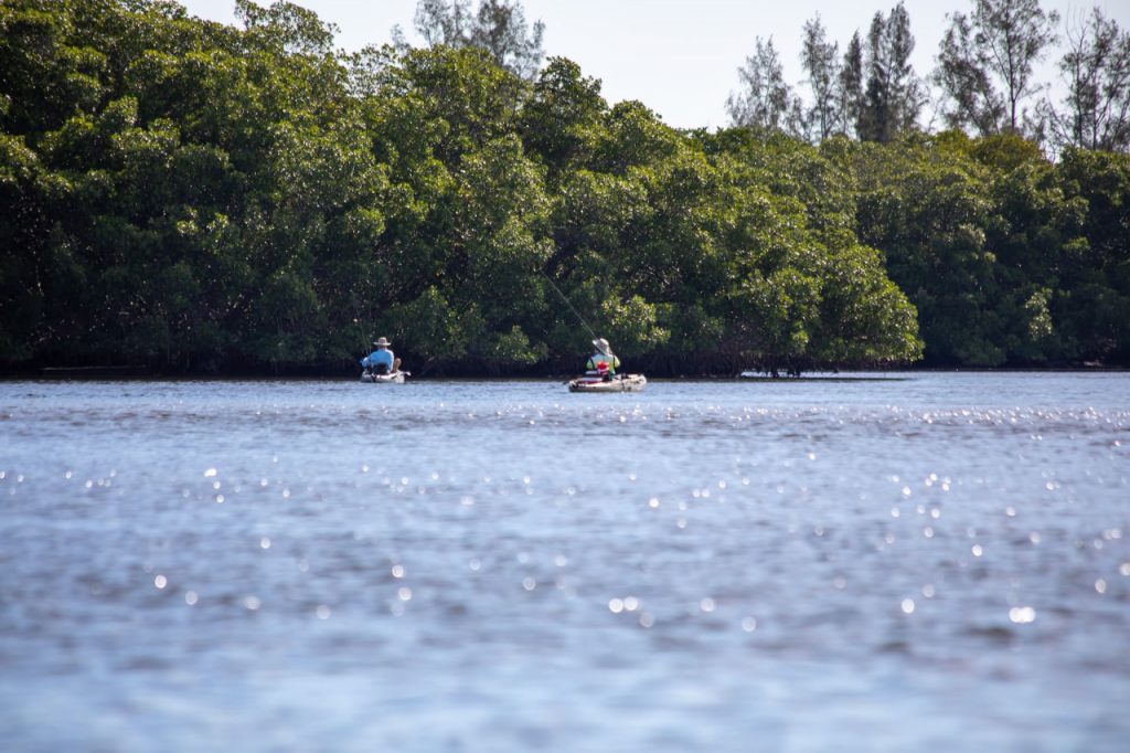 Kayakers in Tampa Bay