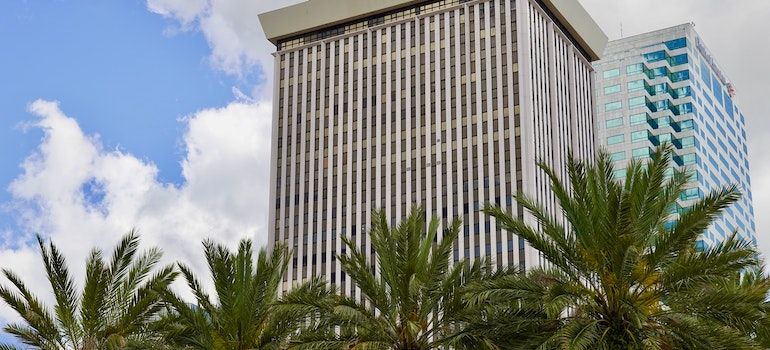 Palm trees near the glass buildings.