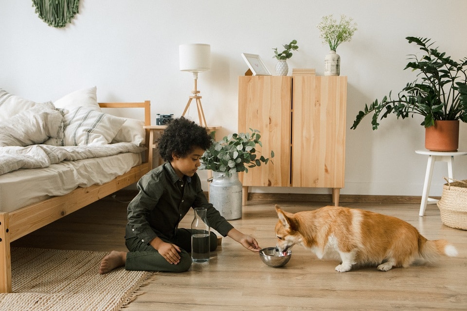 a kid playing with corgi