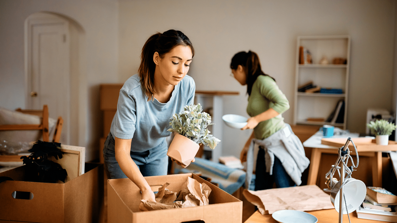 hire professional packers at muv moving